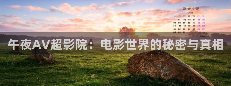 星空影视官网下载