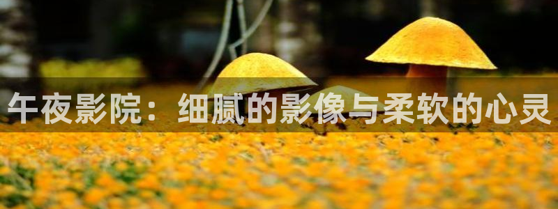星空盒子影视
