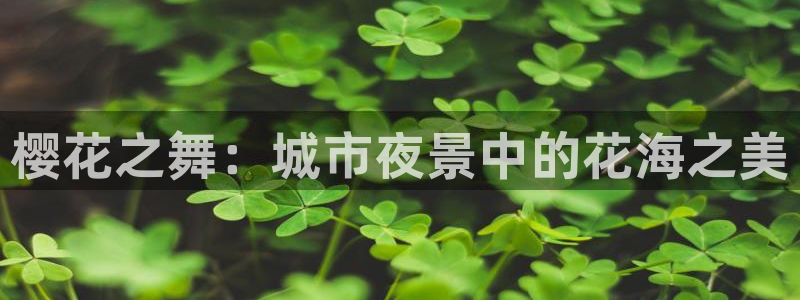 星空在线播放免费观看电视剧