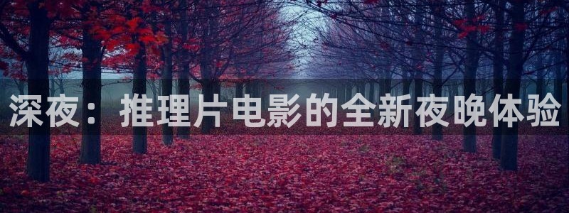 午马电影动漫免费观看