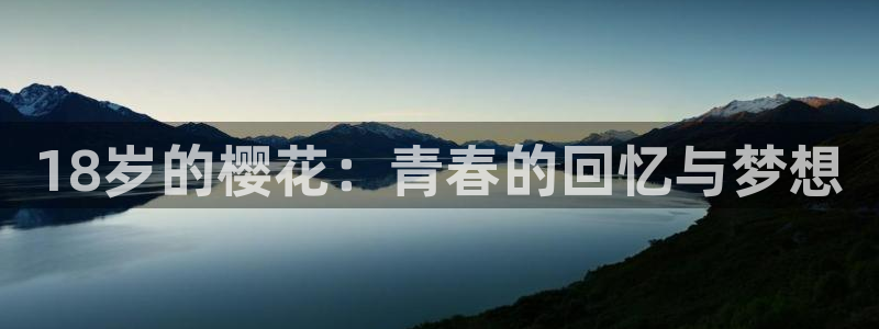 天美麻花星空影视免费