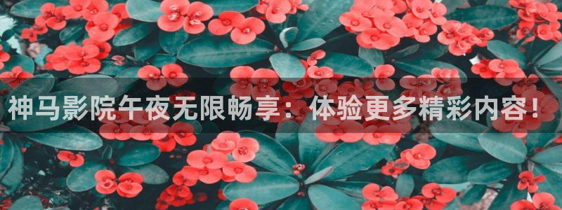 星空影视官网免费进入