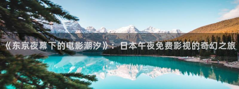 星空传媒免费电影
