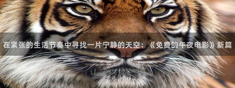 星空电影网在线观看