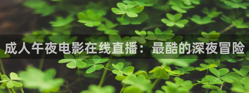 郑州午马电影影讯
