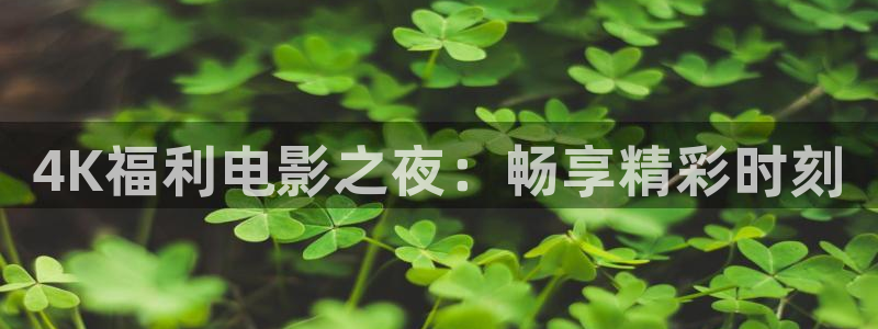 星空在线观看免费高清电影