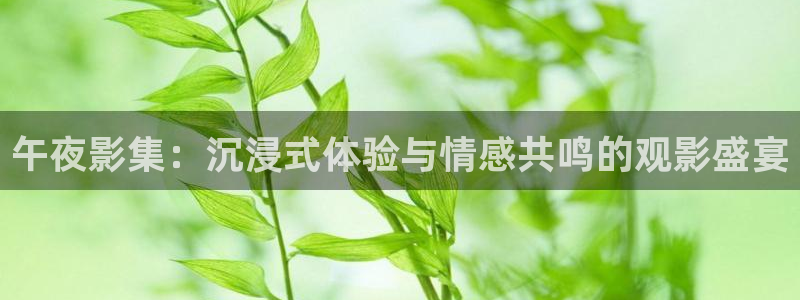 星空影视高清mv免费观看