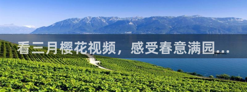 放羊的星星午马电影