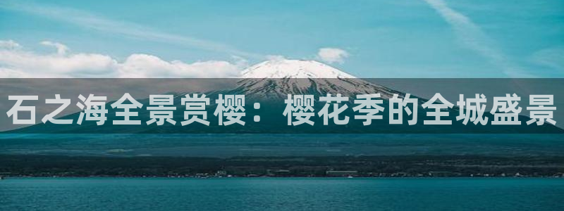 午马电影免费看电视剧