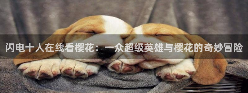 星空视频在线观看完整