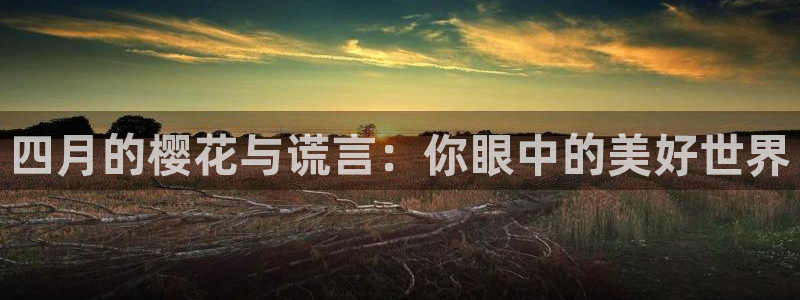 午马电影在线观看免费观