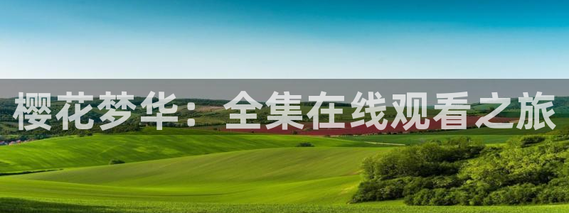 午马电影免费观看电视剧在线观看