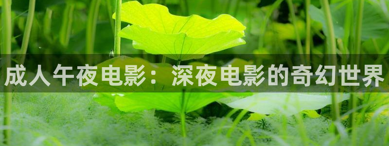 星空影视