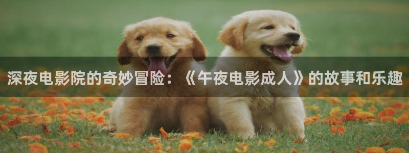 在线午马电影