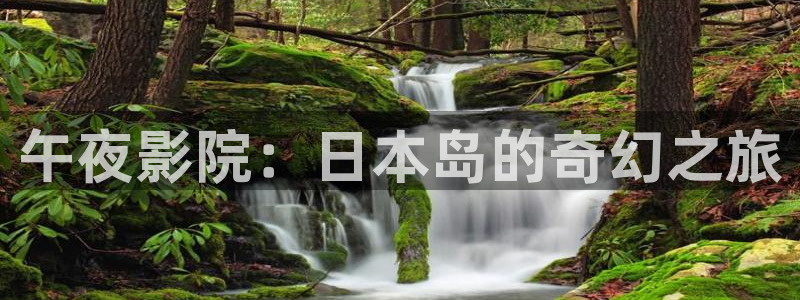 星空视频免费观看电影大全