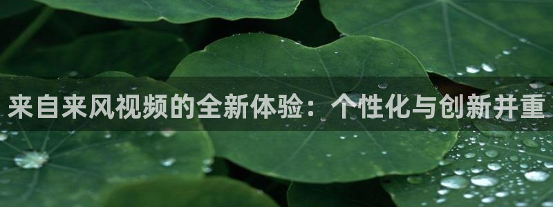 时光代理人第一季免费观看高清版星空影视