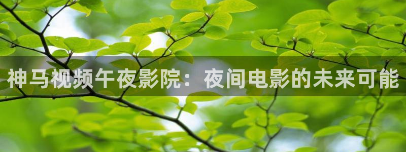 宿州星空电影影讯