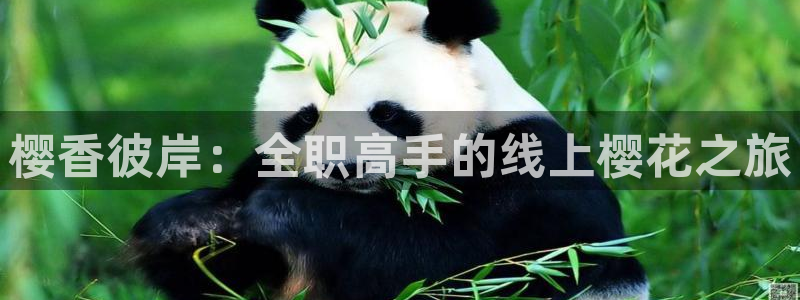午马电影追剧就上午马电影