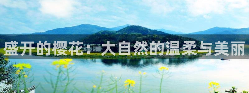 午马电影 - 最新电影大片 - 最新好看的电视剧免费在线观看