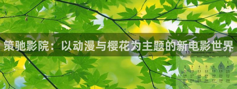 星空播放