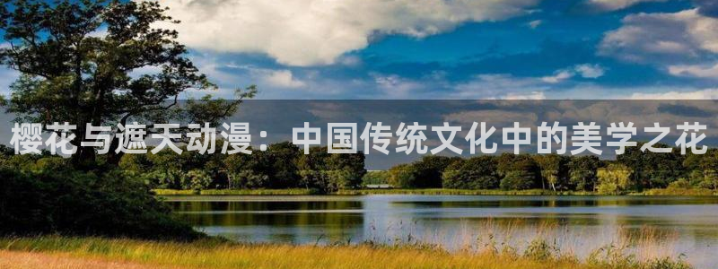 星空传媒影视在线观看