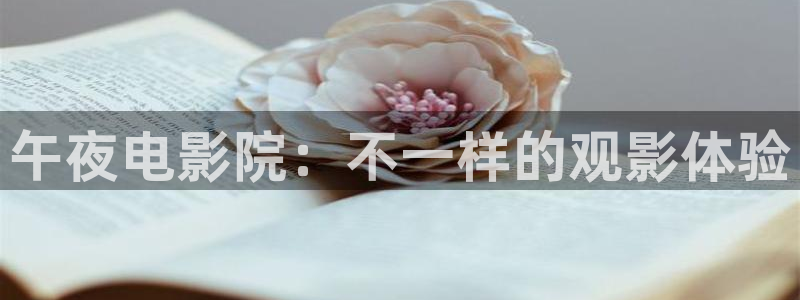 星空视频在线观看免费播放