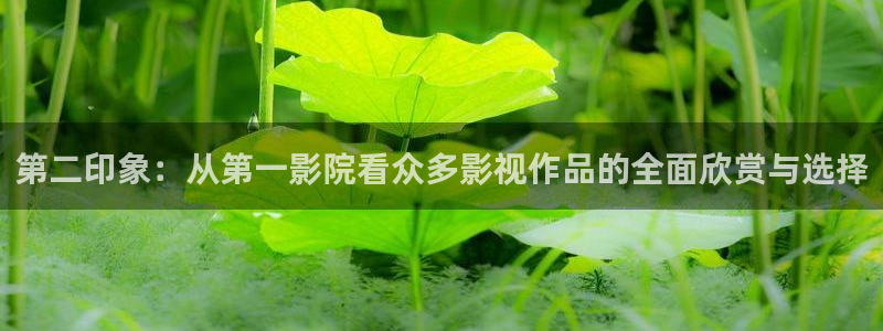 午马电影热门电视剧有哪些